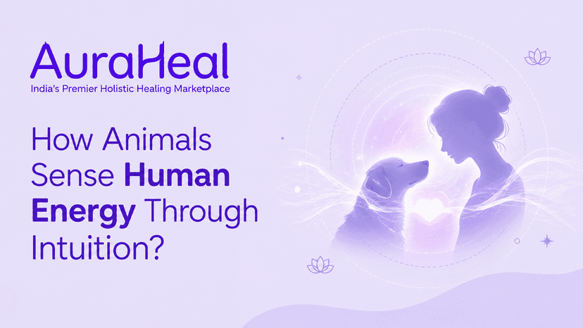 How Animals Sense Human Energy Through Intuition?