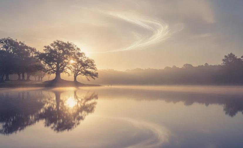 Lama Fera Business Healing: Nurturing Energetic Balance for Professional Growth